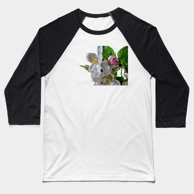 Spring’s Greeting Baseball T-Shirt by gdb2